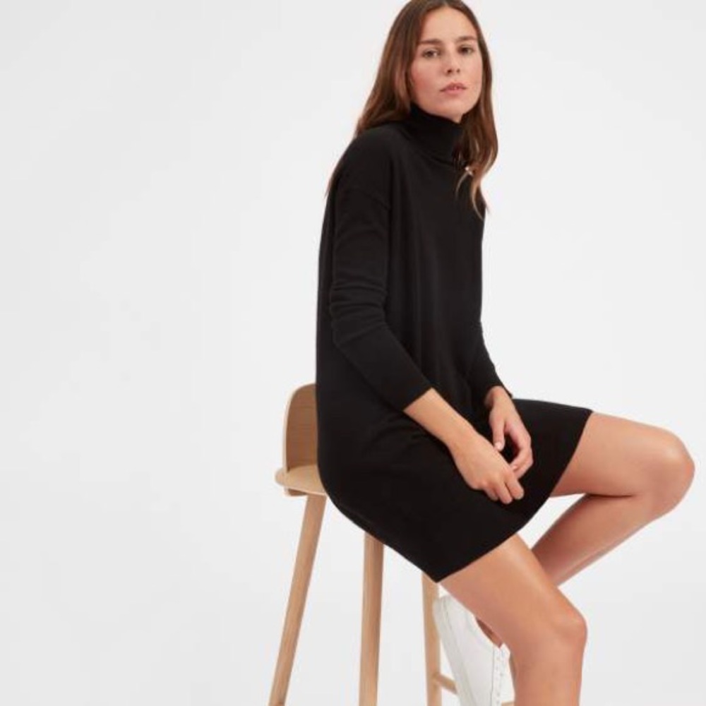 Everlane Black Cashmere Turtleneck Dress
